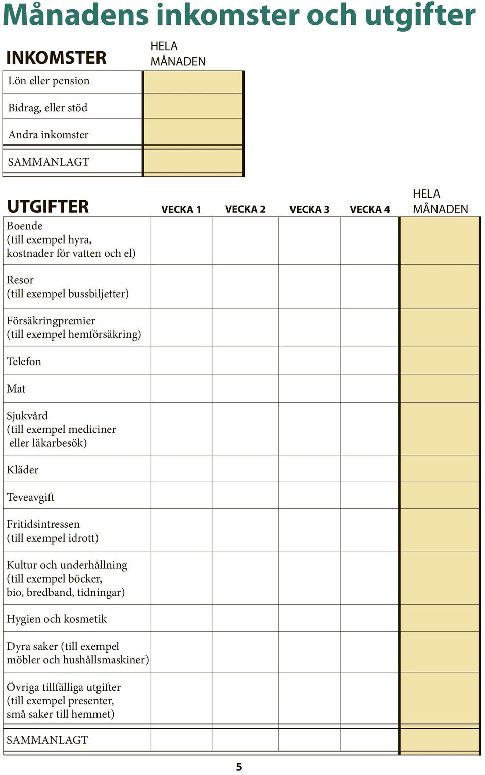 Kläder Teveavgift Fritidsintressen (till exempel idrott) Kultur och underhållning (till exempel böcker, bio, bredband, tidningar) Hygien och kosmetik Dyra saker (till