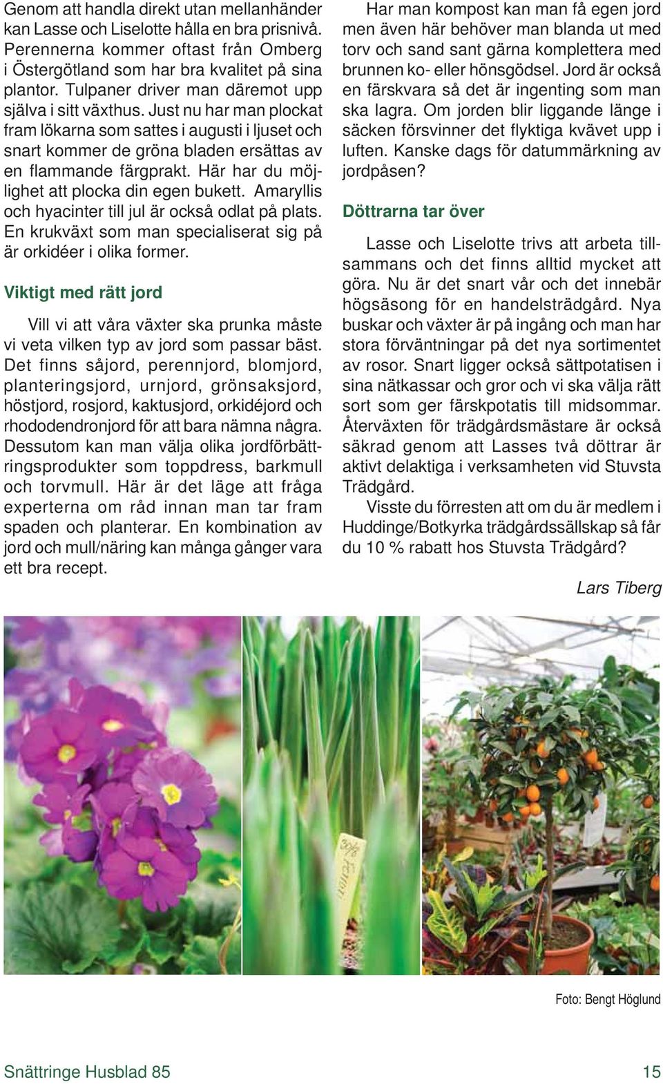 Här har du möjlighet att plocka din egen bukett. Amaryllis och hyacinter till jul är också odlat på plats. En krukväxt som man specialiserat sig på är orkidéer i olika former.