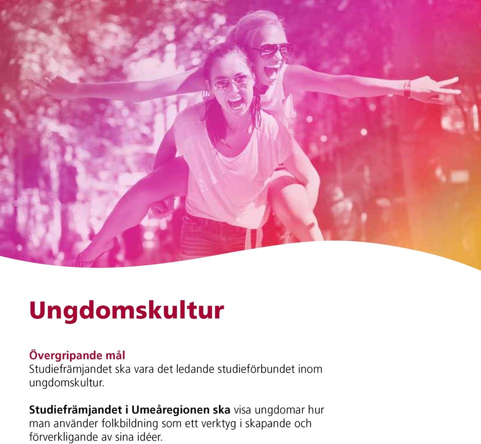 Studiefrämjandet i Umeåregionen ska visa ungdomar hur man