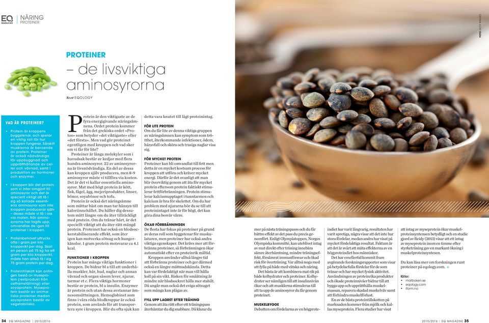I kroppen blir det protein som vi intar omgjort till aminosyror och det är speciellt viktigt att få i sig så kallade essentiella aminosyror som inte kroppen producerar själv dessa måste vi få i oss