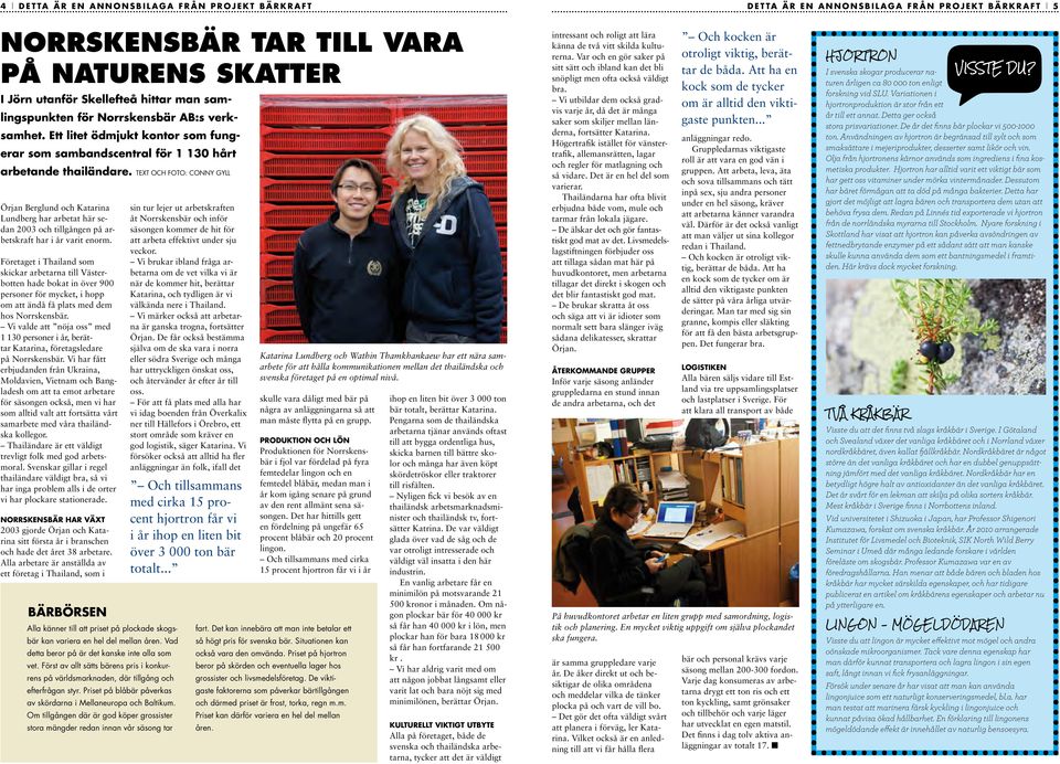 text och FOTO: Conny gyll Örjan Berglund och Katarina Lundberg har arbetat här sedan 2003 och tillgången på arbetskraft har i år varit enorm.