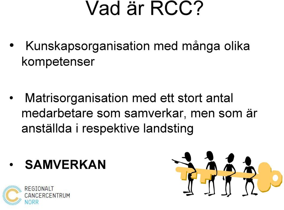 kompetenser Matrisorganisation med ett stort