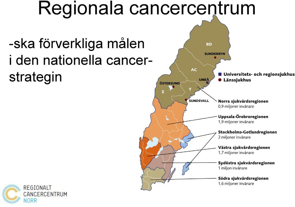 förverkliga målen i