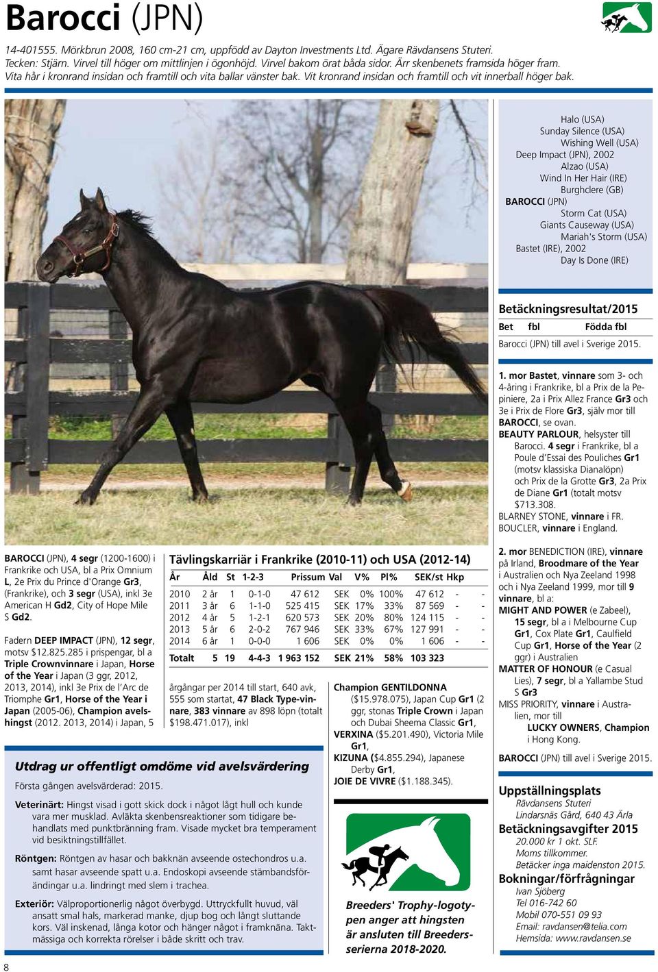 Halo (USA) Sunday Silence (USA) Wishing Well (USA) Deep Impact (JPN), 2002 Alzao (USA) Wind In Her Hair (IRE) Burghclere (GB) BAROCCI (JPN) Storm Cat (USA) Giants Causeway (USA) Mariah's Storm (USA)