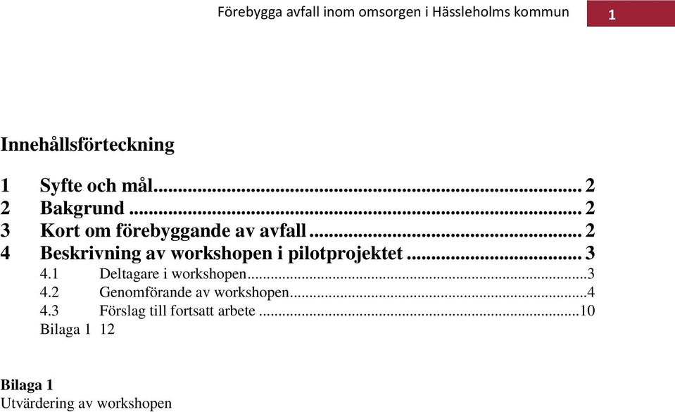 .. 2 4 Beskrivning av workshopen i pilotprojektet... 3 4.