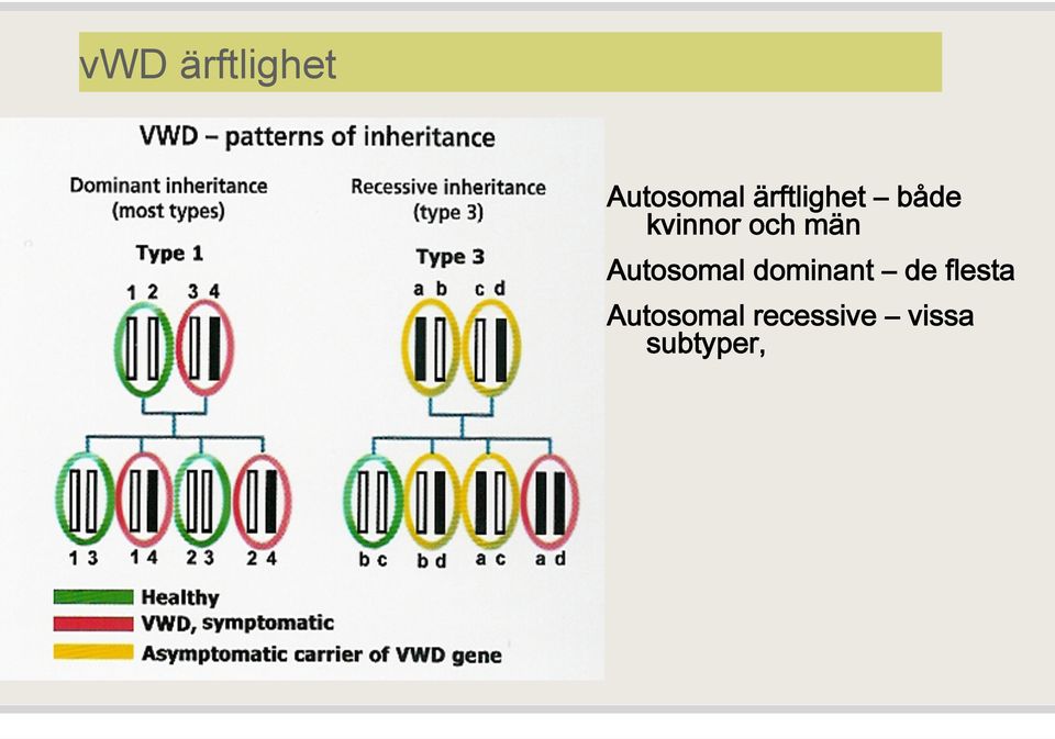 män Autosomal dominant de