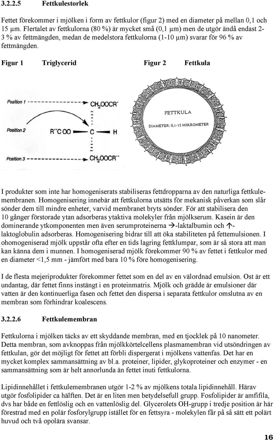 Figur 1 Triglycerid Figur 2 Fettkula I produkter som inte har homogeniserats stabiliseras fettdropparna av den naturliga fettkulemembranen.