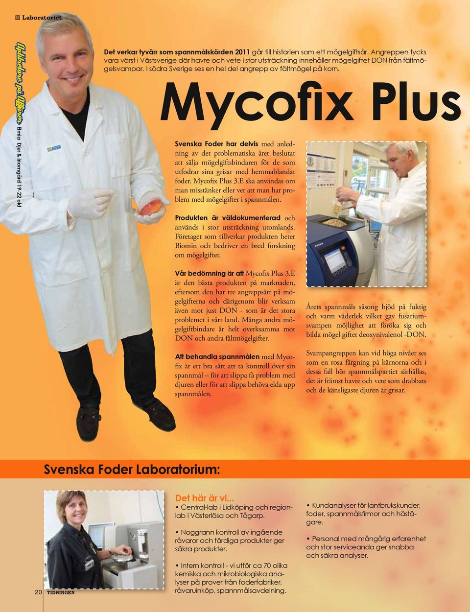 Mycofix Plus Svenska Foder har delvis med anledning av det problematiska året beslutat att sälja mögelgiftsbindaren för de som utfodrar sina grisar med hemmablandat foder. Mycofix Plus 3.