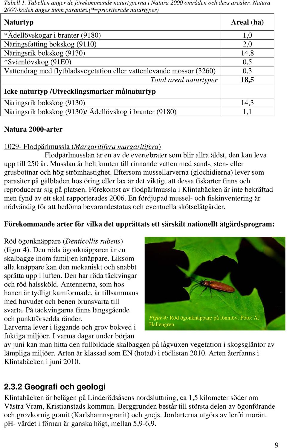 flytbladsvegetation eller vattenlevande mossor (3260) 0,3 Total areal naturtyper 18,5 Icke naturtyp /Utvecklingsmarker målnaturtyp Näringsrik bokskog (9130) 14,3 Näringsrik bokskog (9130)/