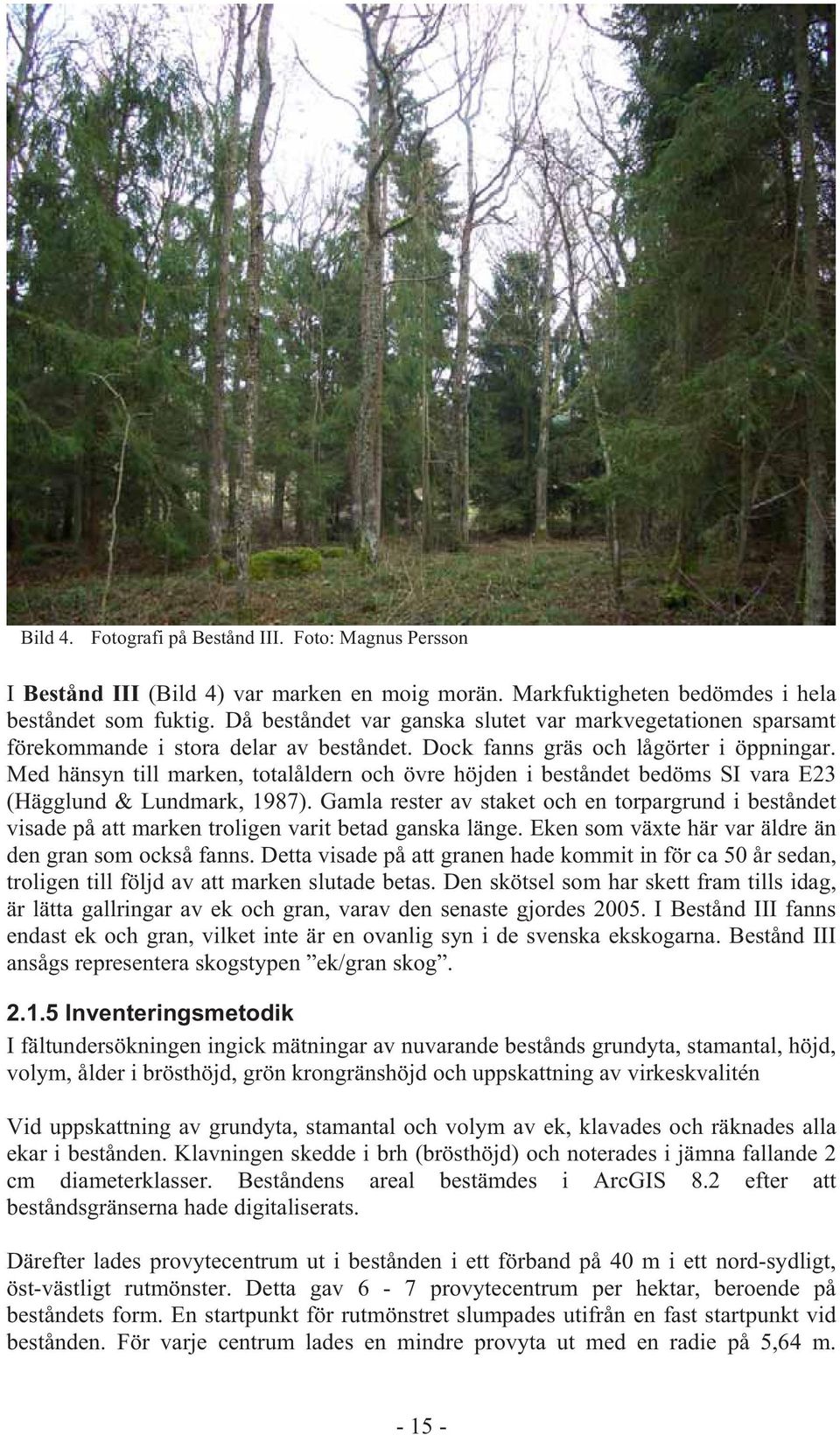 Med hänsyn till marken, totalåldern och övre höjden i beståndet bedöms SI vara E23 (Hägglund & Lundmark, 1987).