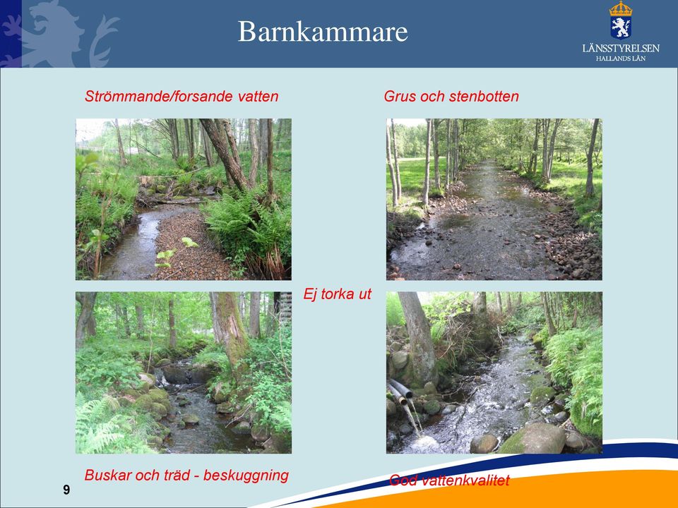 Grus och stenbotten Ej torka