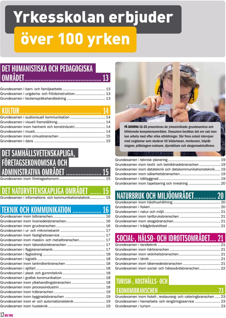 .. 14 Grundexamen i musik... 14 Grundexamen inom cirkusbranschen... 15 Grundexamen i dans... 15 DET SAMHÄLLSVETENSKAPLIGA, FÖRETAGSEKONOMISKA OCH ADMINISTRATIVA OMRÅDET... 15. Grundexamen inom företagsekonomi.