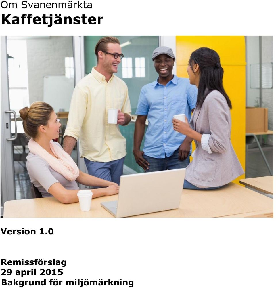 0 Remissförslag 29