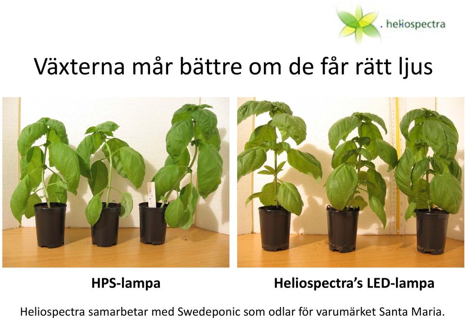 lampa Heliospectra samarbetar med