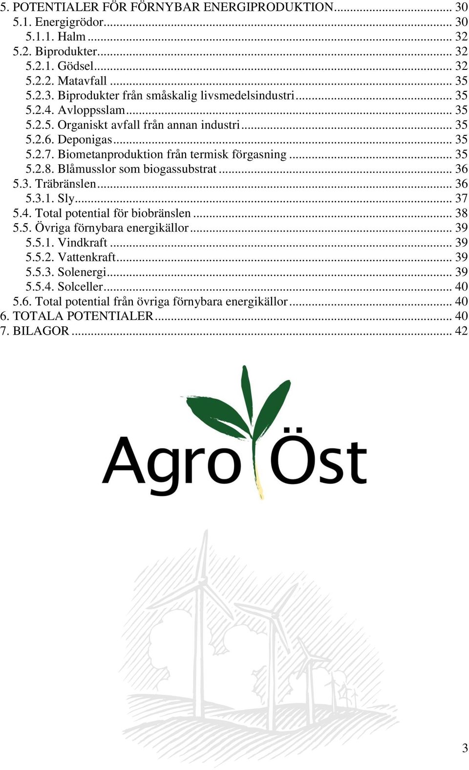 Blåmusslor som biogassubstrat... 36 5.3. Träbränslen... 36 5.3.1. Sly... 37 5.4. Total potential för biobränslen... 38 5.5. Övriga förnybara energikällor... 39 5.5.1. Vindkraft... 39 5.5.2.