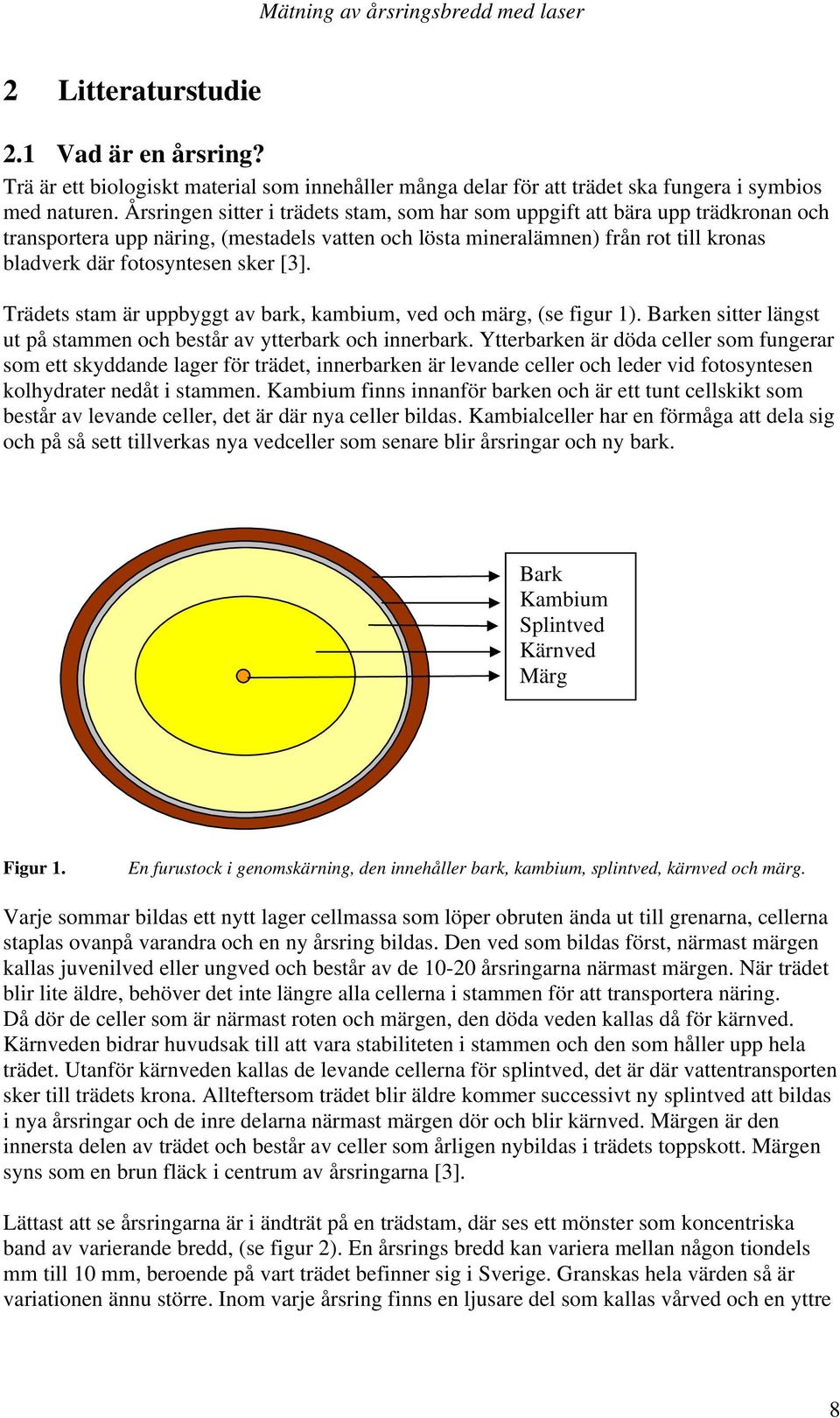 [3]. Trädets stam är uppbyggt av bark, kambium, ved och märg, (se figur 1). Barken sitter längst ut på stammen och består av ytterbark och innerbark.