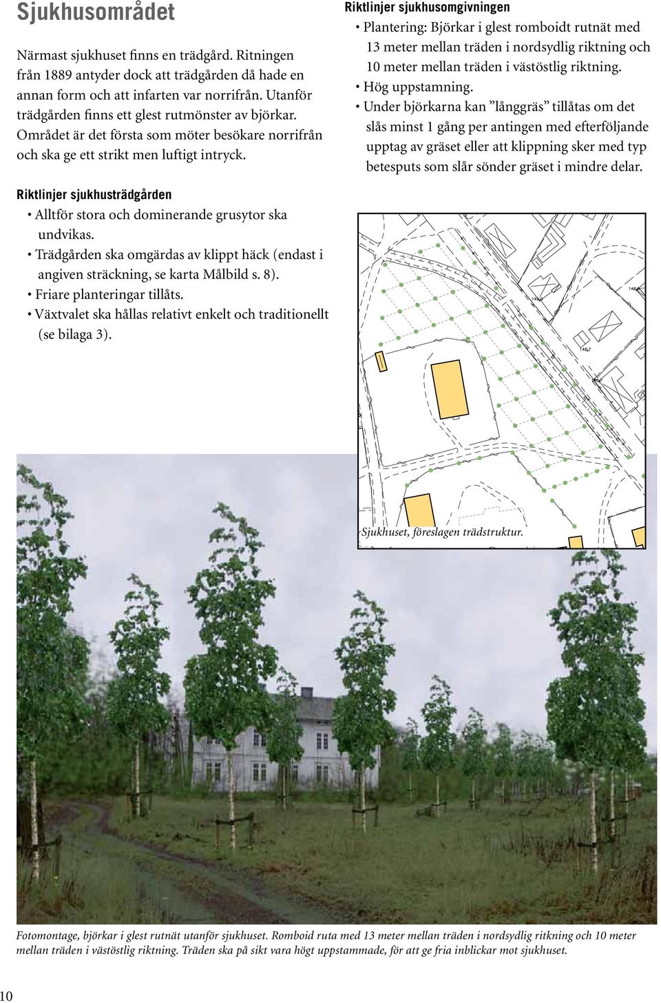 Riktlinjer sjukhusomgivningen Plantering: Björkar i glest romboidt rutnät med 13 meter mellan träden i nordsydlig riktning och 10 meter mellan träden i västöstlig riktning. Hög uppstamning.