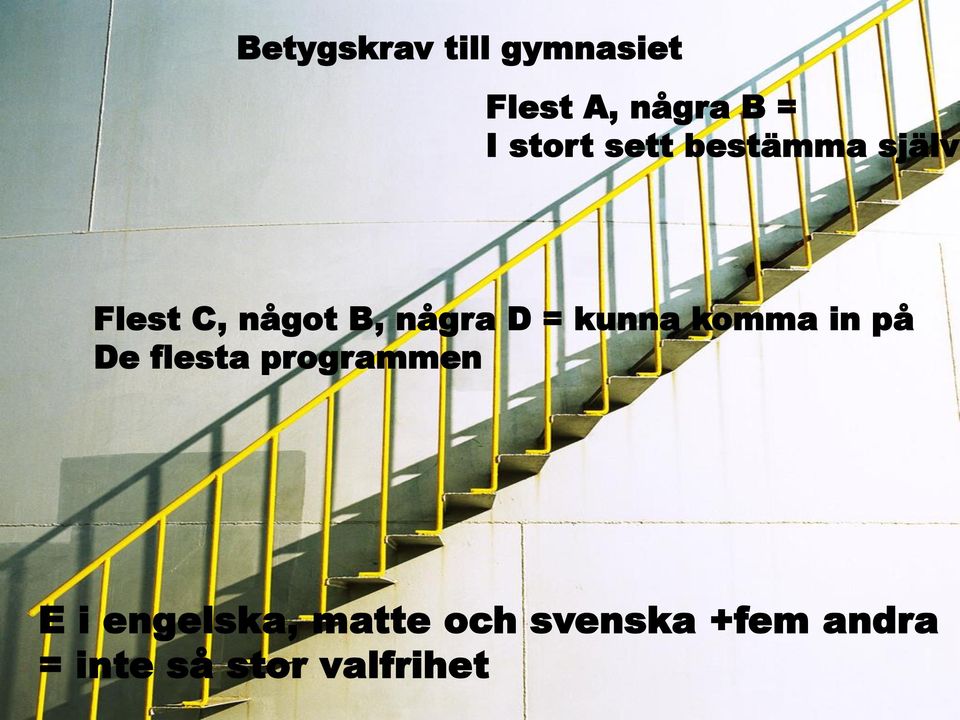 = kunna komma in på De flesta programmen E i