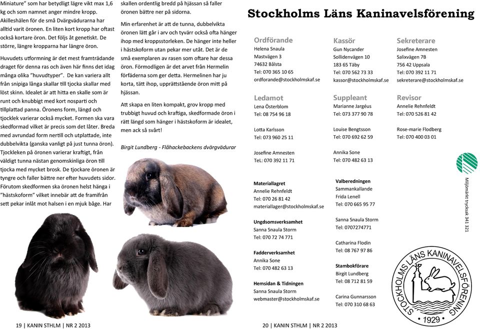 Huvudets utformning är det mest framträdande draget för denna ras och även här finns det idag många olika huvudtyper. De kan variera allt från snipiga långa skallar till tjocka skallar med löst skinn.