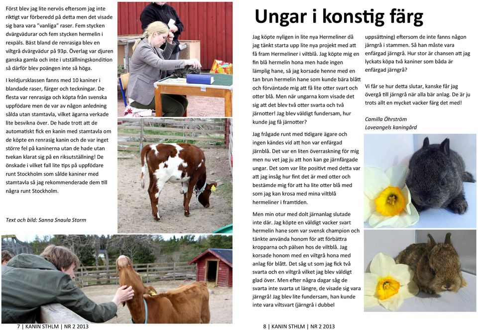 I keldjursklassen fanns med 10 kaniner i blandade raser, färger och teckningar.