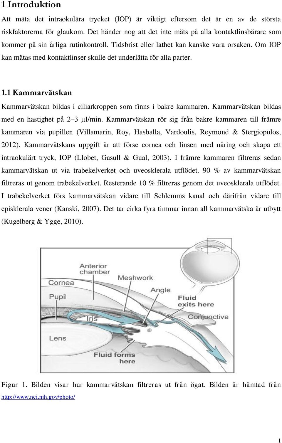 Om IOP kan mätas med kontaktlinser skulle det underlätta för alla parter. 1.1 Kammarvätskan Kammarvätskan bildas i ciliarkroppen som finns i bakre kammaren.