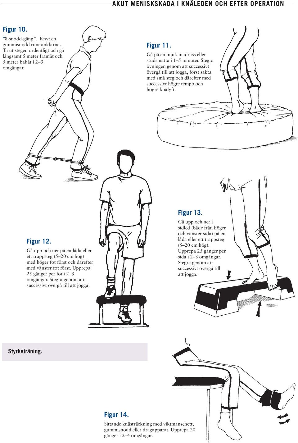 Figur 12. Gå upp och ner på en låda eller ett trappsteg (5 20 cm hög) med höger fot först och därefter med vänster fot först. Upprepa 25 gånger per fot i 2 3 omgångar.
