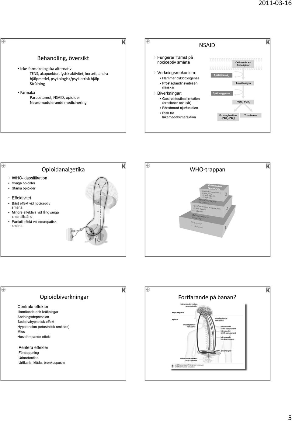 Försämrad njurfunktion Risk för läkemedelsinteraktion " WHO-klassifikation Svaga opioider Starka opioider OpioidanalgeQka WHO- trappan Effektivitet Bäst effekt vid nociceptiv Mindre effektiva vid