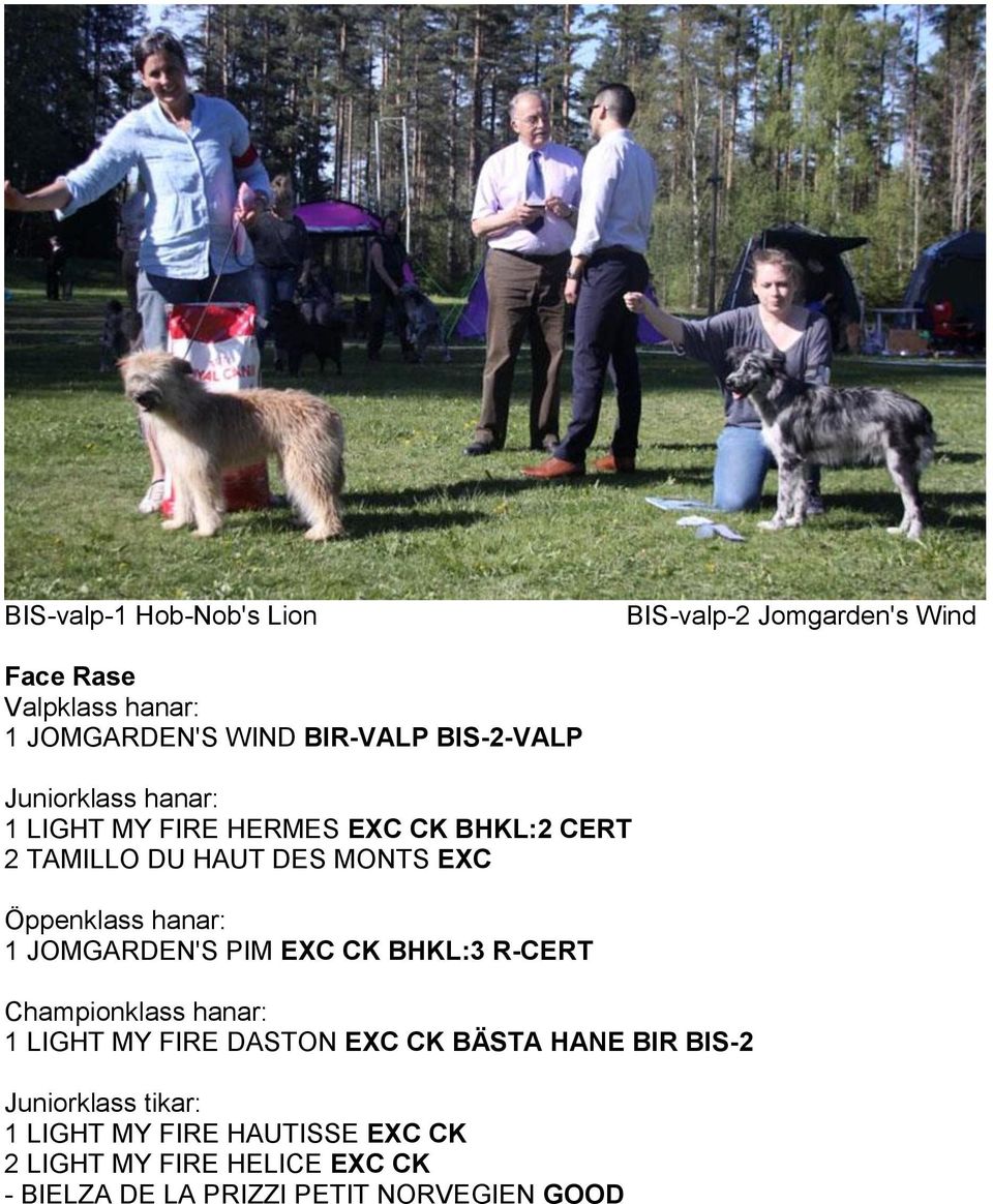 hanar: 1 JOMGARDEN'S PIM EXC CK BHKL:3 R-CERT Championklass hanar: 1 LIGHT MY FIRE DASTON EXC CK BÄSTA HANE BIR