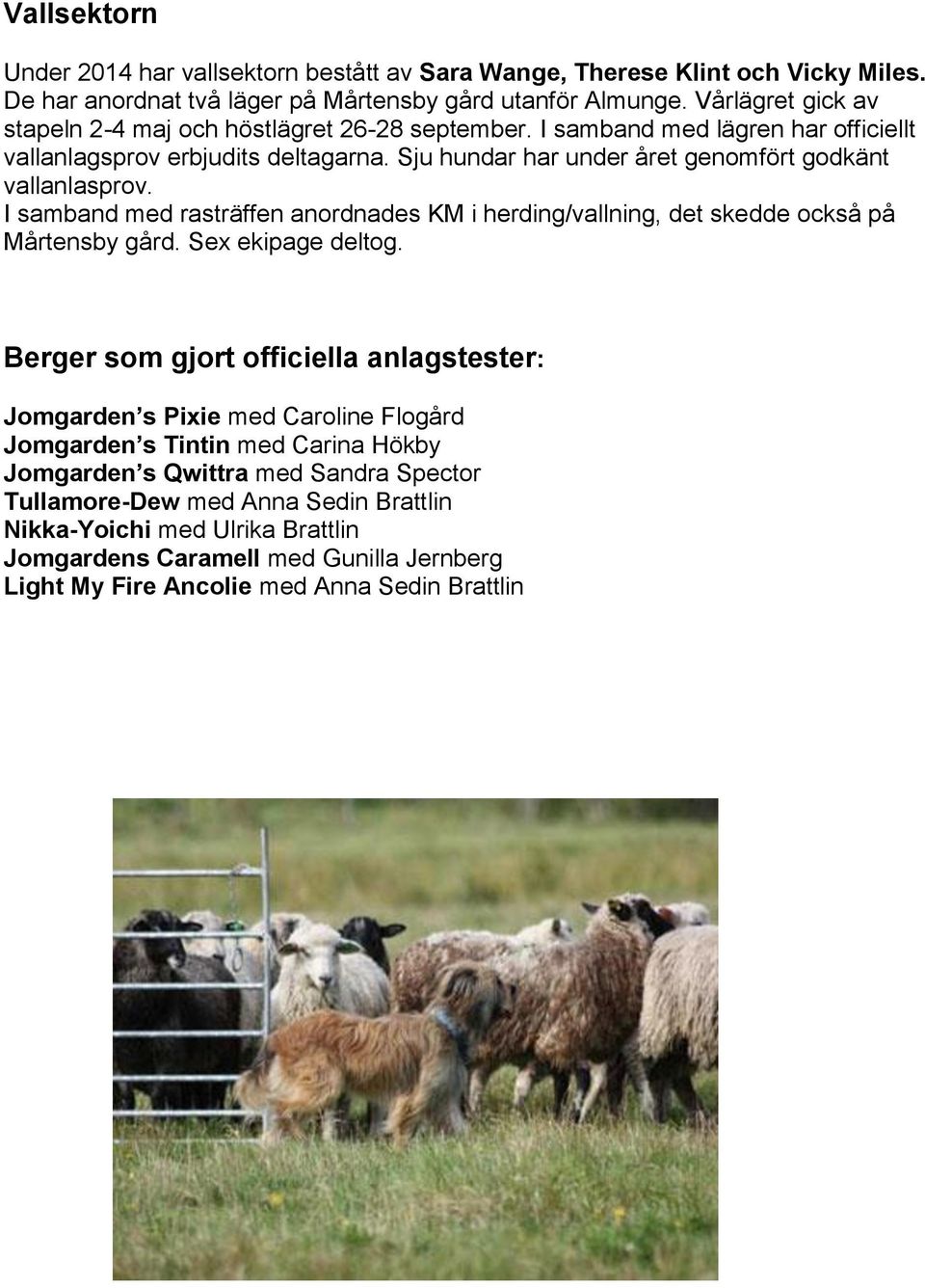 Sju hundar har under året genomfört godkänt vallanlasprov. I samband med rasträffen anordnades KM i herding/vallning, det skedde också på Mårtensby gård. Sex ekipage deltog.