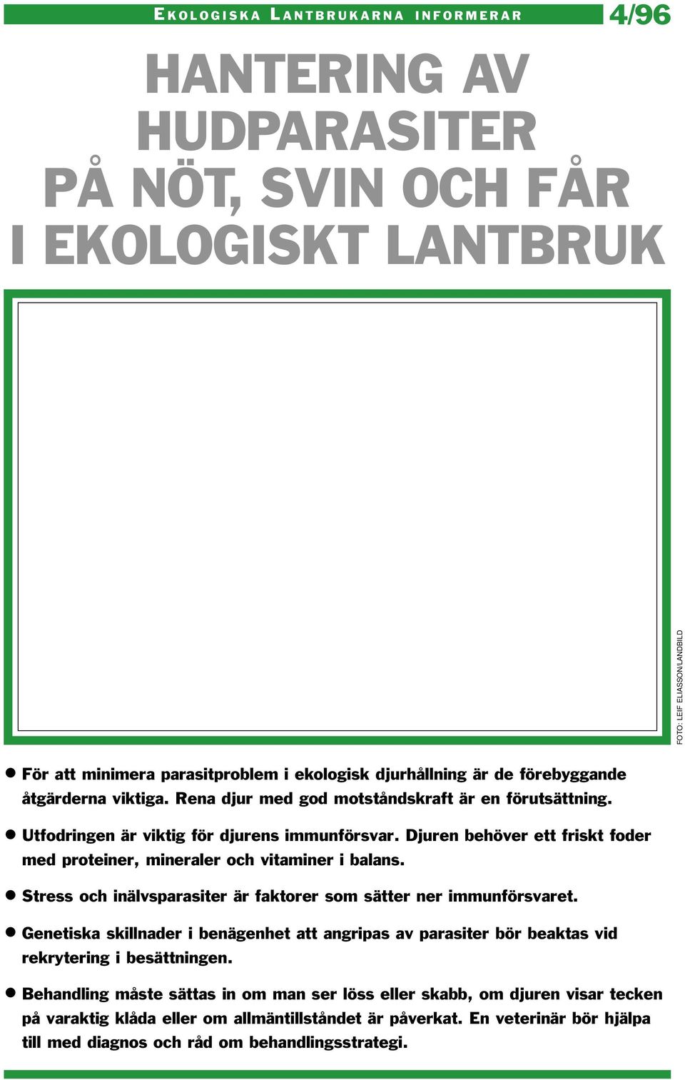 Stress och inälvsparasiter är faktorer som sätter ner immunförsvaret. Genetiska skillnader i benägenhet att angripas av parasiter bör beaktas vid rekrytering i besättningen.