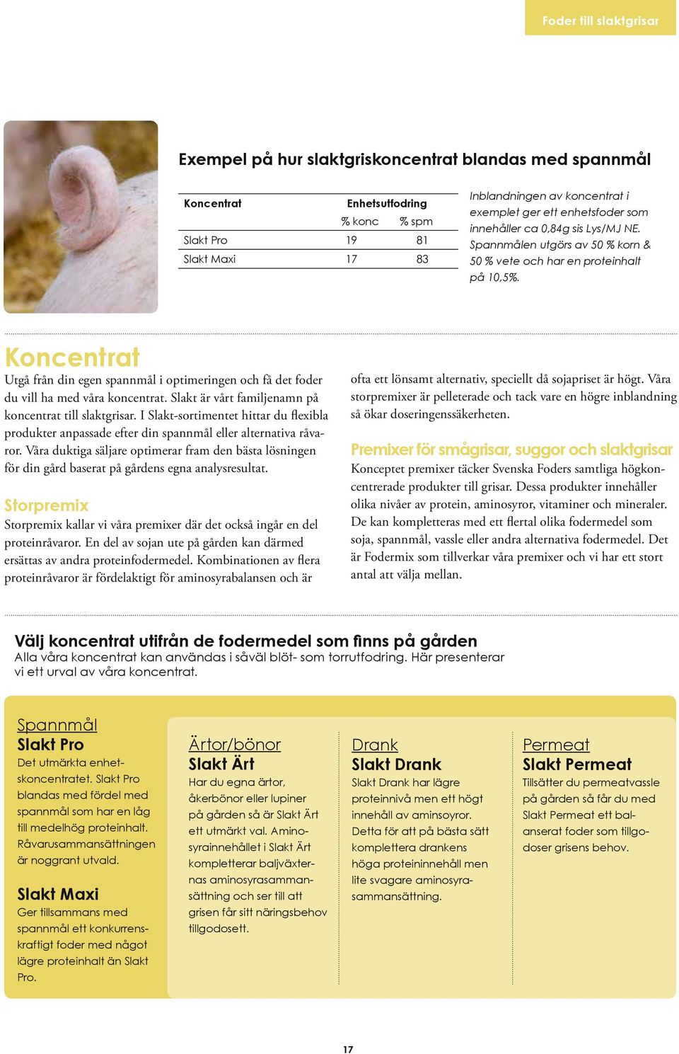 Koncentrat Utgå från din egen spannmål i optimeringen och få det foder du vill ha med våra koncentrat. Slakt är vårt familjenamn på koncentrat till slaktgrisar.