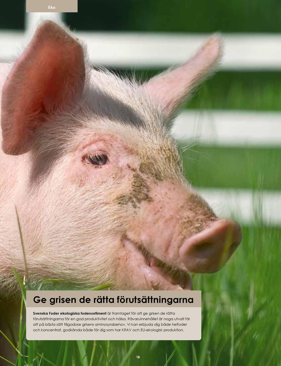 Råvaruinnehållet är noga utvalt för att på bästa sätt tillgodose grisens aminosyrabehov.