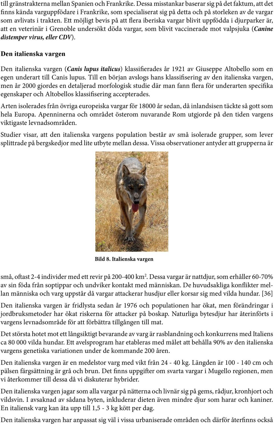 Ett möjligt bevis på att flera iberiska vargar blivit uppfödda i djurparker är, att en veterinär i Grenoble undersökt döda vargar, som blivit vaccinerade mot valpsjuka (Canine distemper virus, eller