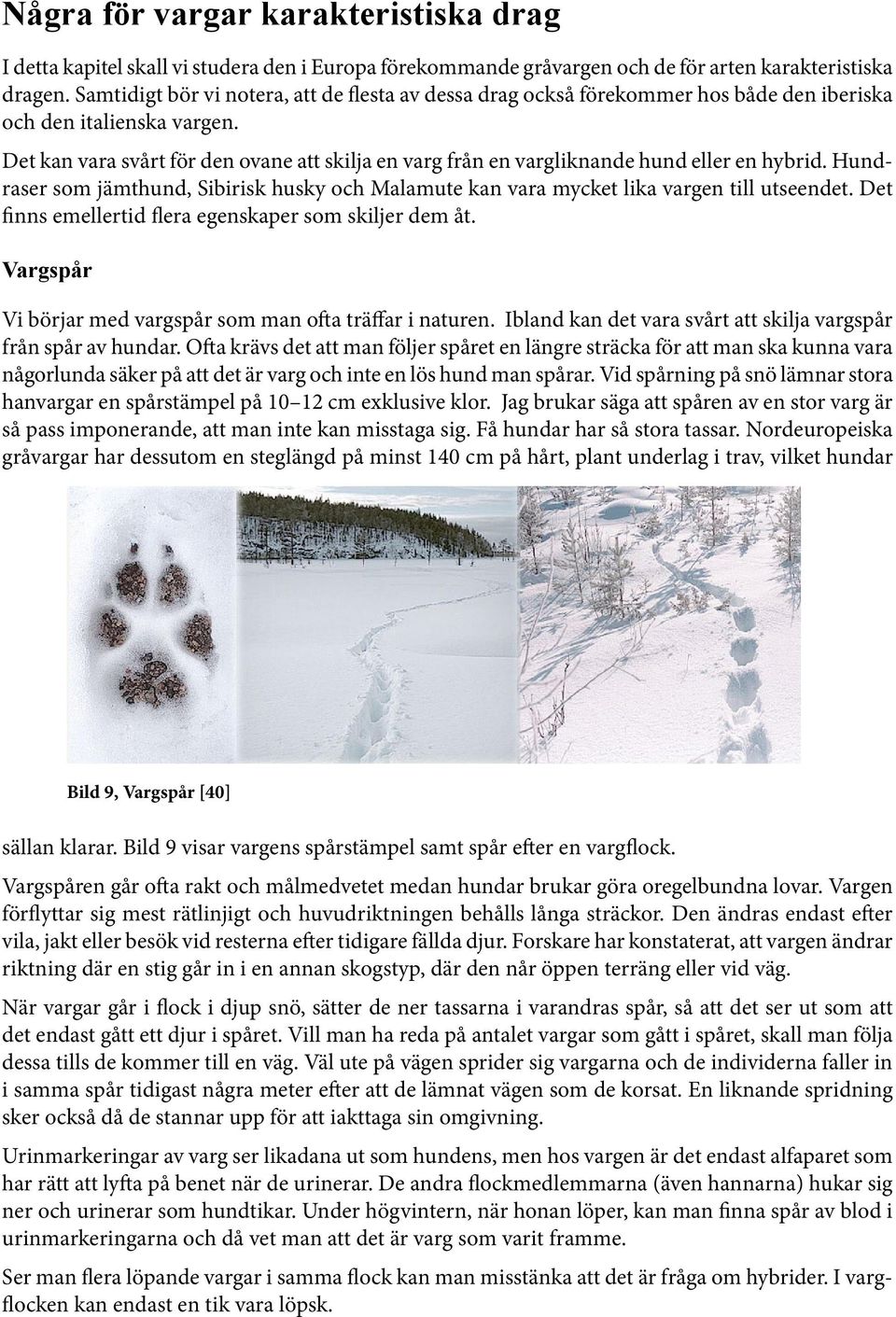 Det kan vara svårt för den ovane att skilja en varg från en vargliknande hund eller en hybrid. Hundraser som jämthund, Sibirisk husky och Malamute kan vara mycket lika vargen till utseendet.