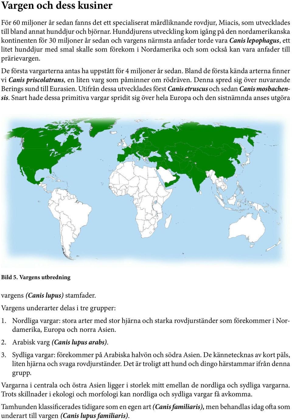 Nordamerika och som också kan vara anfader till prärievargen. De första vargarterna antas ha uppstått för 4 miljoner år sedan.