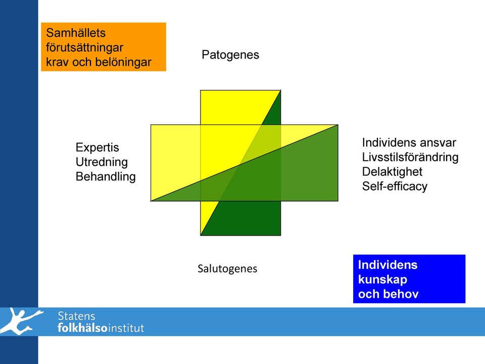 Individens ansvar Livsstilsförändring