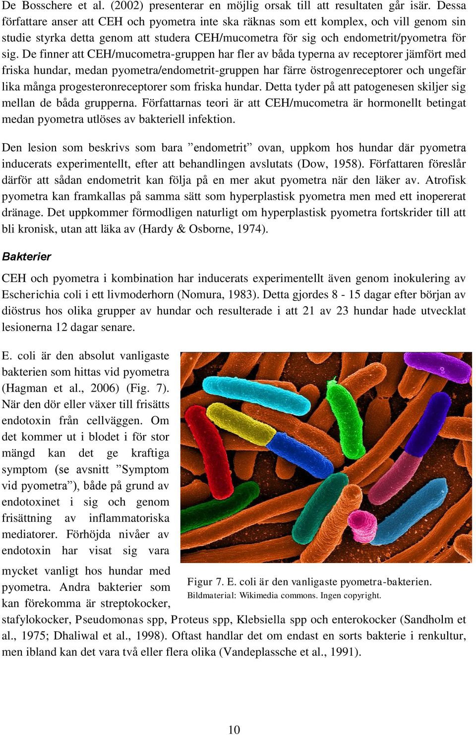 De finner att CEH/mucometra-gruppen har fler av båda typerna av receptorer jämfört med friska hundar, medan pyometra/endometrit-gruppen har färre östrogenreceptorer och ungefär lika många