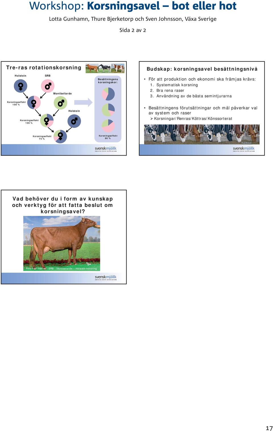 Användning av de bästa semintjurarna Korsningseffekt 100 % Korsningseffekt 100 % Korsning Holstein Korsning Besättningens förutsättningar och mål påverkar val av system och raser