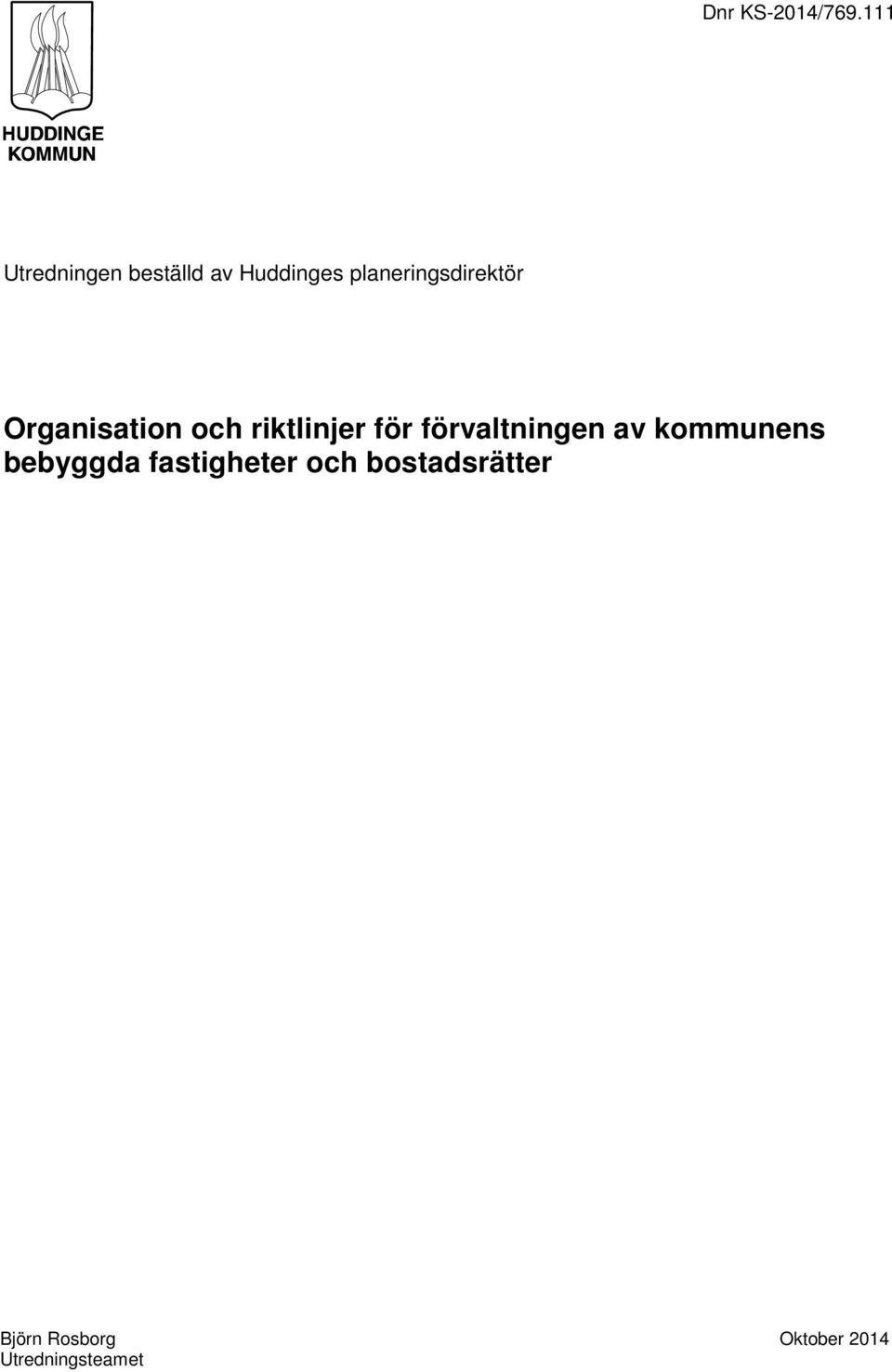 planeringsdirektör Organisation och riktlinjer för