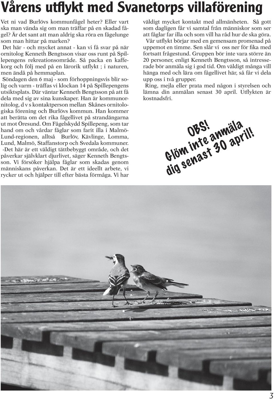 Det här - och mycket annat - kan vi få svar på när ornitolog Kenneth Bengtsson visar oss runt på Spillepengens rekreationsområde.