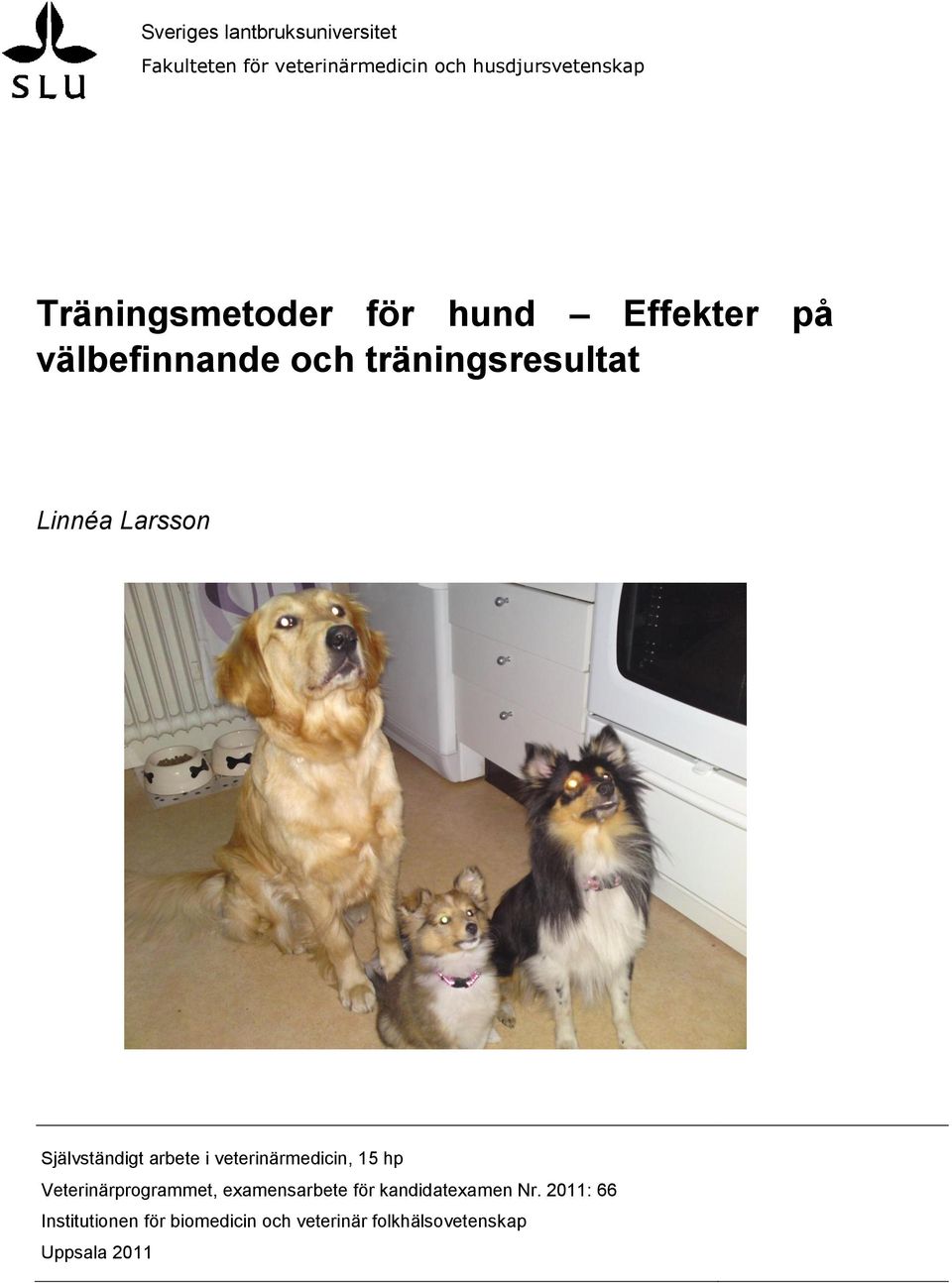 Självständigt arbete i veterinärmedicin, 15 hp Veterinärprogrammet, examensarbete för