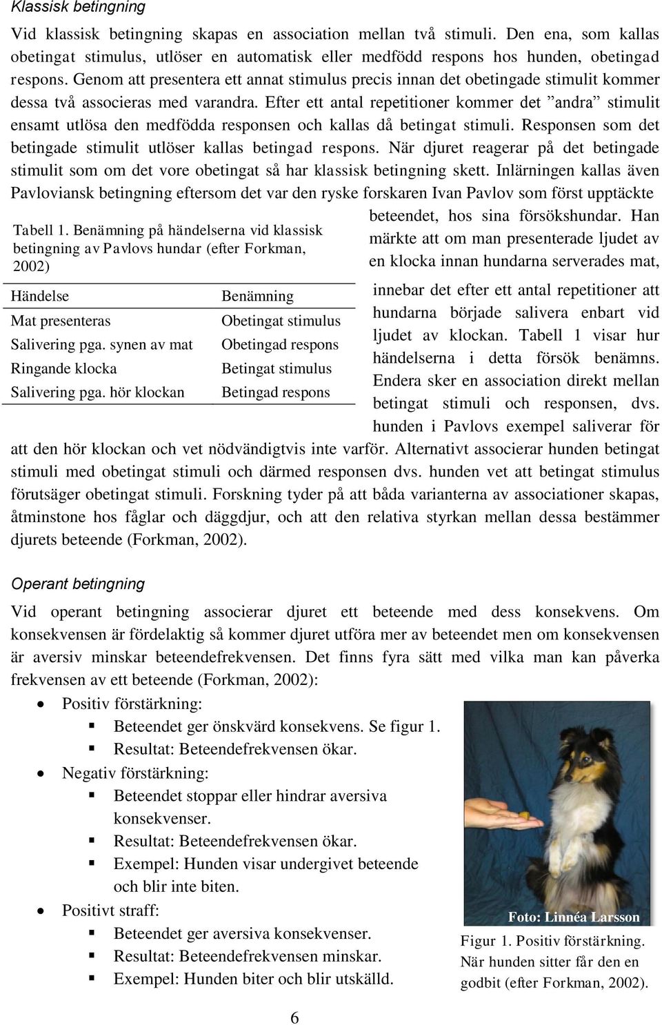 Efter ett antal repetitioner kommer det andra stimulit ensamt utlösa den medfödda responsen och kallas då betingat stimuli. Responsen som det betingade stimulit utlöser kallas betingad respons.