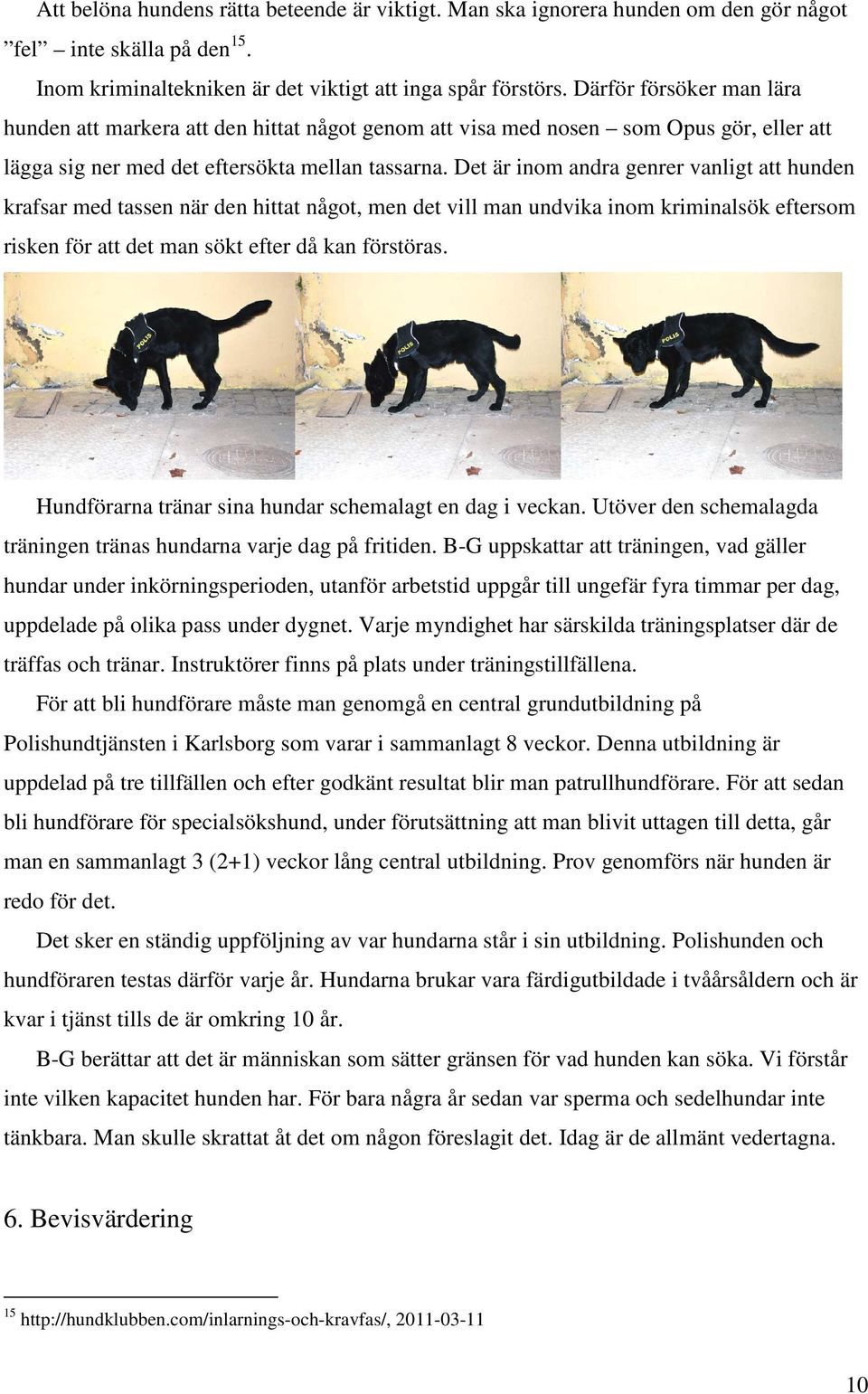 Det är inom andra genrer vanligt att hunden krafsar med tassen när den hittat något, men det vill man undvika inom kriminalsök eftersom risken för att det man sökt efter då kan förstöras.