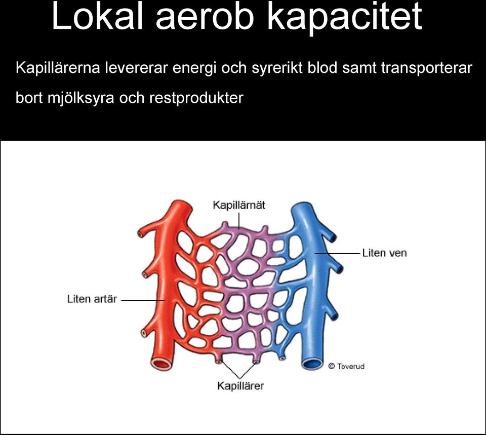 och syrerikt blod samt