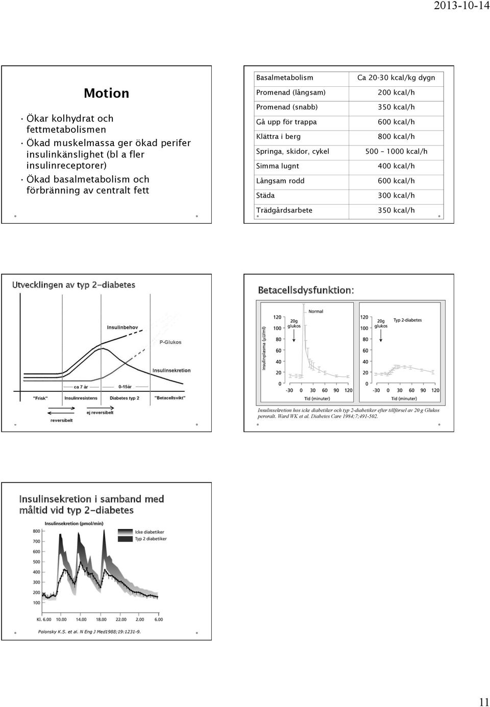 kcal/h 600 kcal/h 800 kcal/h 500 1000 kcal/h 400 kcal/h 600 kcal/h 300 kcal/h 350 kcal/h Utvecklingen av typ 2-diabetes Betacellsdysfunktion: Insulinsekretion hos icke diabetiker och typ