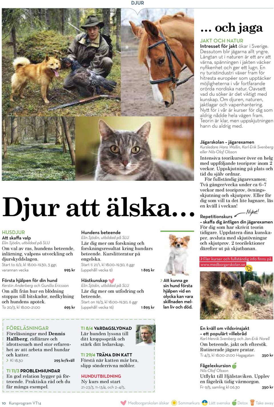 Om djuren, naturen, jaktlagar och vapenhantering. Nytt för i vår är kurser för dig som aldrig nådde hela vägen fram. Teorin är klar, men uppskjutningen hann du aldrig med.