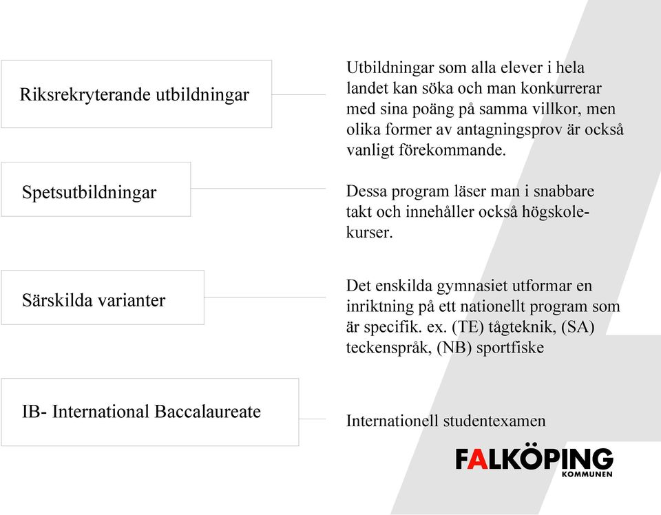 Dessa program läser man i snabbare takt och innehåller också högskolekurser.