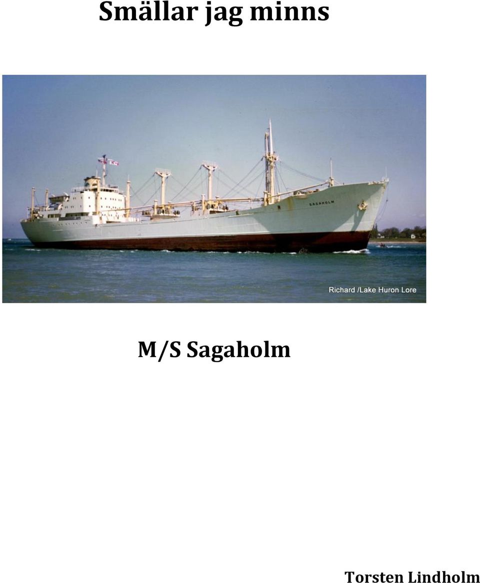 Sagaholm