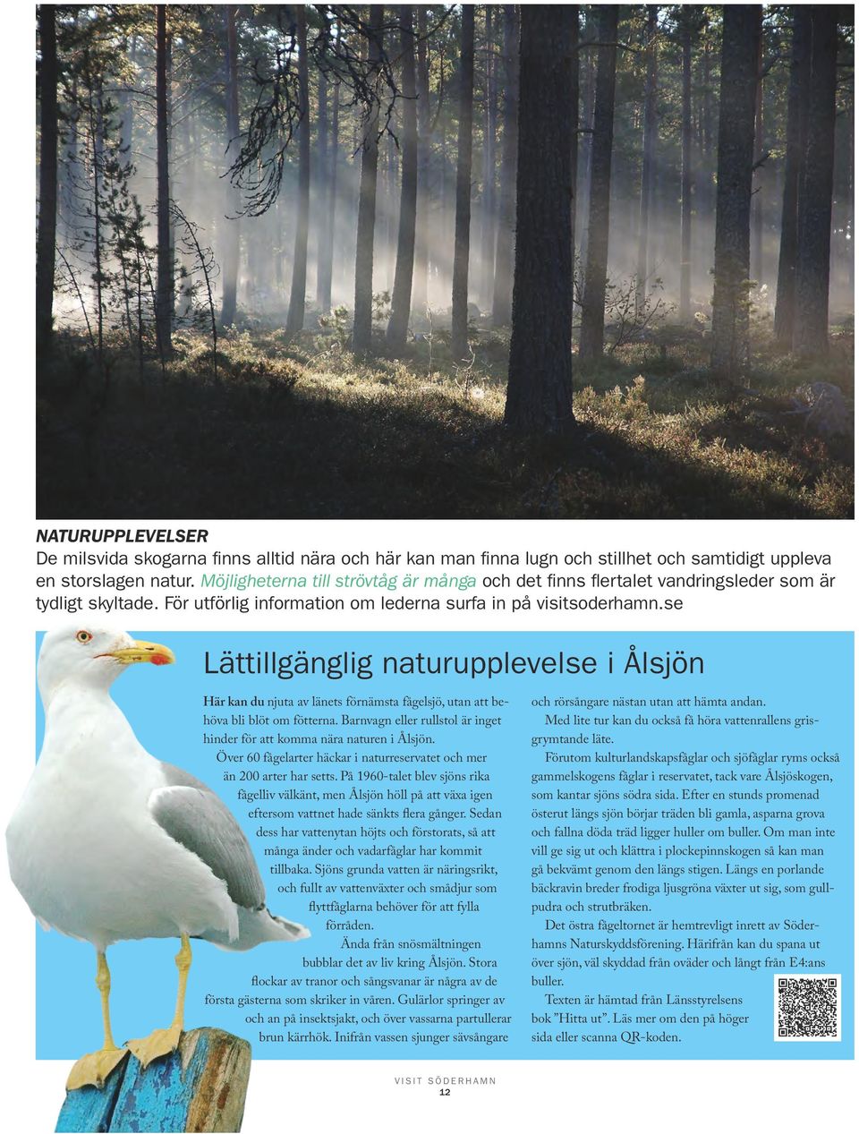 se Lättillgänglig naturupplevelse i Ålsjön Här kan du njuta av länets förnämsta fågelsjö, utan att behöva bli blöt om fötterna.