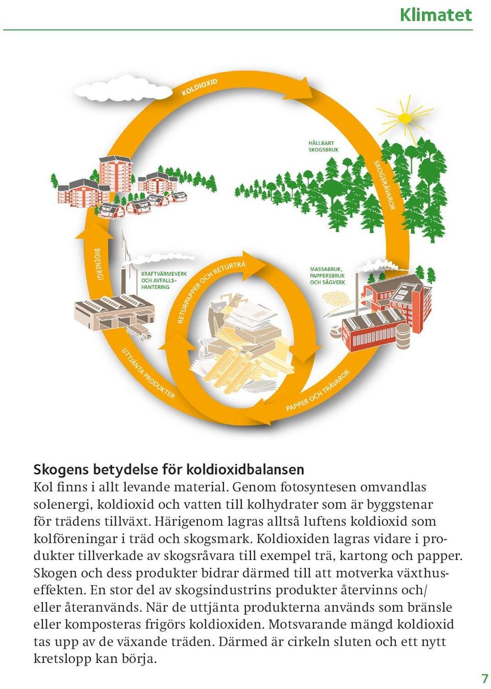 Härigenom lagras alltså luftens koldioxid som kolföreningar i träd och skogsmark. Koldioxiden lagras vidare i produkter tillverkade av skogsråvara till exempel trä, kartong och papper.